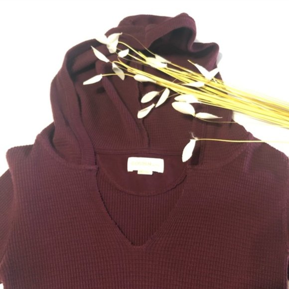 ARITZIA Golden by TNA Crowley Thermal Hoodie - Picture 6 of 6